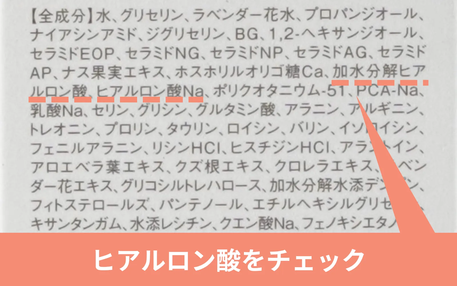 全成分表示のヒアルロン酸